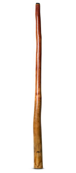 Tristan O'Meara Didgeridoo (TM281)